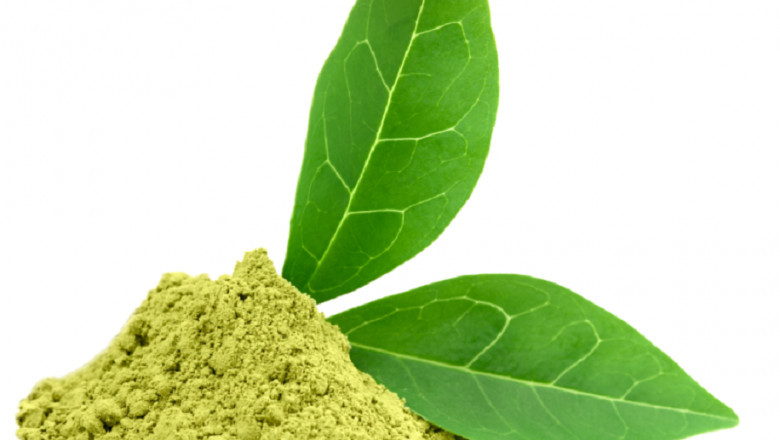 Organic Henna Powder Manufacturers in India