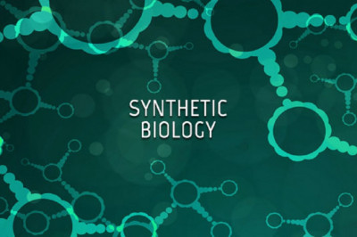Using synthetic biology, biology can be engineered more easily