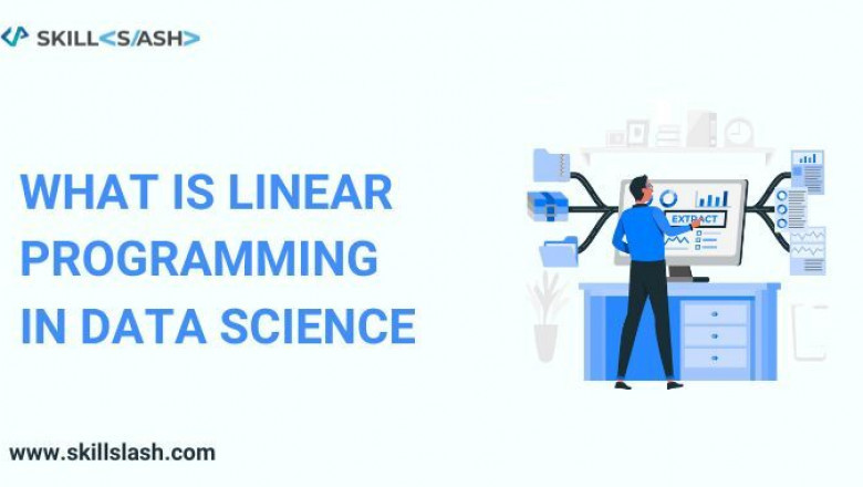 What is Linear Programming in Data Science