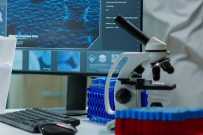 Digital Pathology Market Development, Share, Demand and Forecast Till 2029