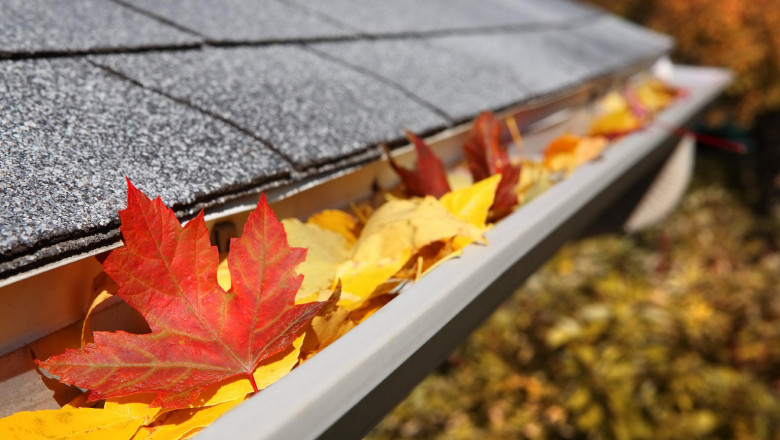 How to Find the Best Gutter Cleaning Service