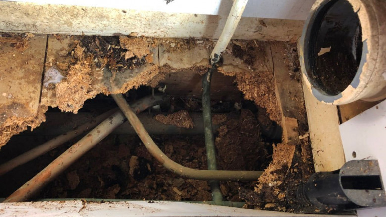 How to Fix Water Damage on Wood