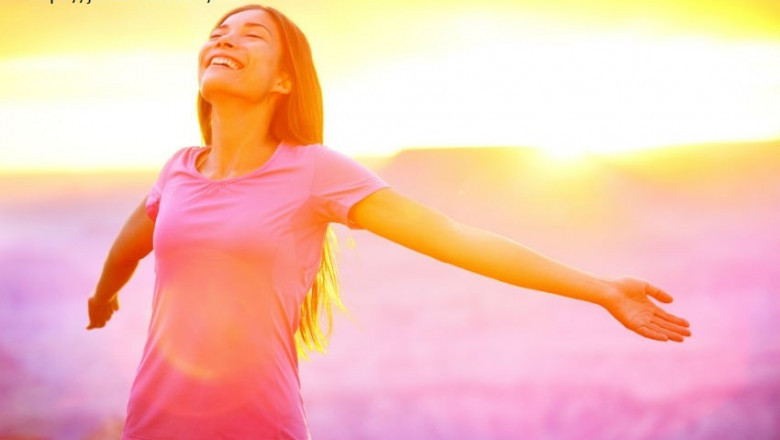 Knoxville tn chiropractor