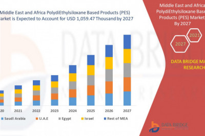 Middle East and Africa PolydiEthylsiloxane Based Products (PES) Market Scope and Market Size