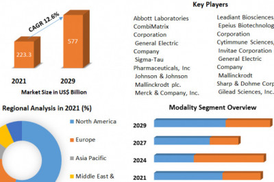 Nanomedicine Market Opportunities, Business Size With Expansion Plans Forecast To 2022-2029