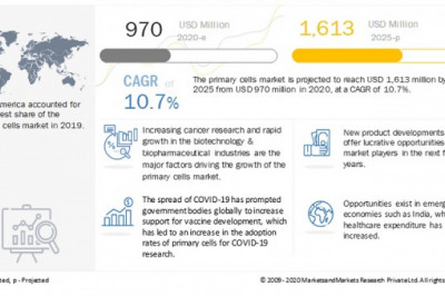 Primary Cells Market to Hit $1,613 Million by 2025
