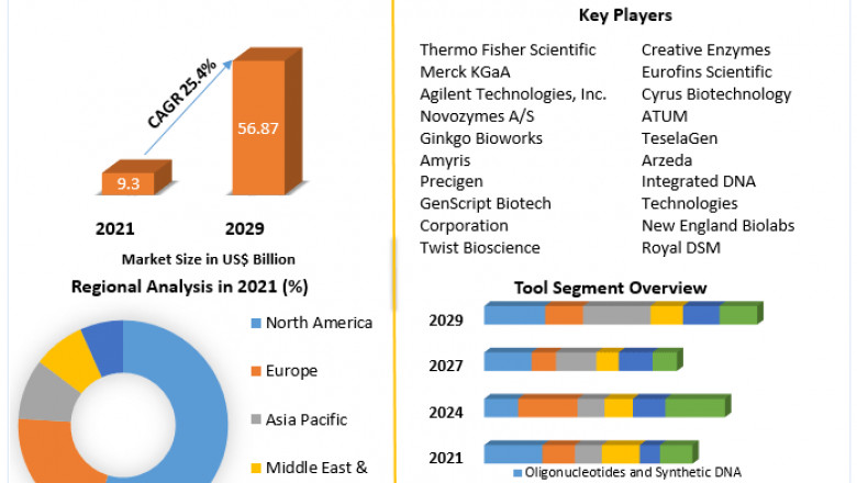 Synthetic Biology Market Review, Growth, Demand, Insights And Forecast 2029
