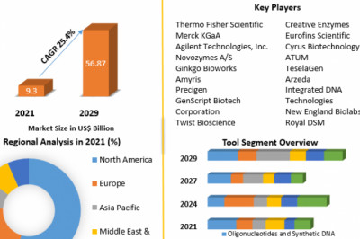Synthetic Biology Market Review, Growth, Demand, Insights And Forecast 2029