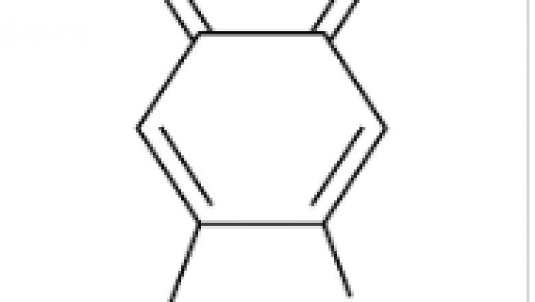 The scientific interest in adrenachrome pigment