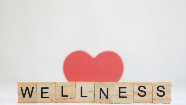 Vibrant Wellness Tick and ENVIROtox Panel Test