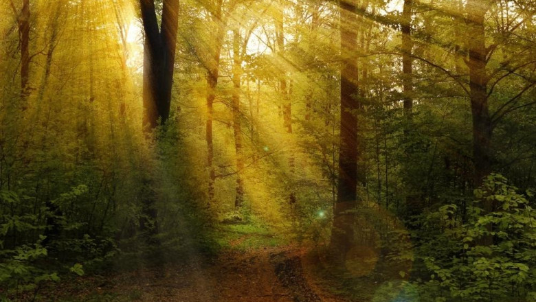 Vilka typer av psykoterapi finns i Stockholm?