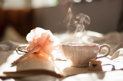 what the heck is lake worth fl airbnb