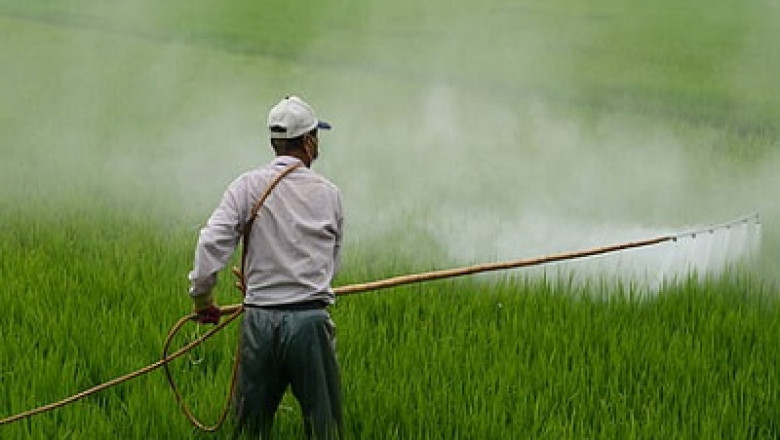 Crop Protection Chemicals Market | Global Industry Size, Growth, Analysis Report and Forecast To 2030 | ChemAnalyst