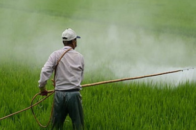 Crop Protection Chemicals Market | Global Industry Size, Growth, Analysis Report and Forecast To 2030 | ChemAnalyst