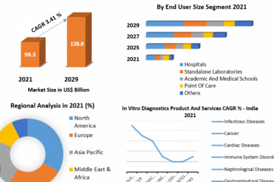 Global In Vitro Diagnostics Market Industry Size, Competitive Analysis And Forecast 2029