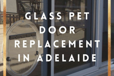 Glass Pet Door Repair