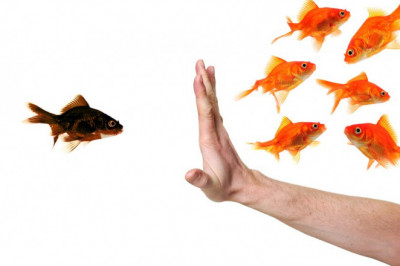 Ask a Workplace Discrimination Attorney: How Do You Prove Discrimination?