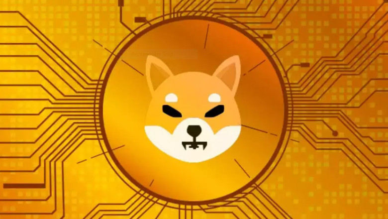 isShicoin, shinainu under works; Here's all we know