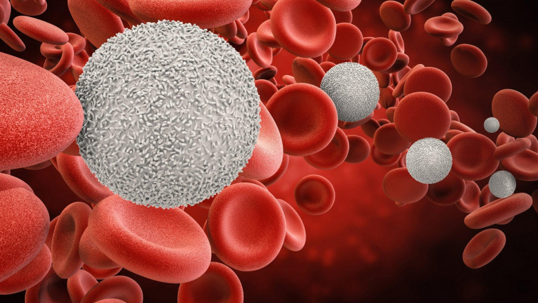 Hematology Market To See Huge Growth By 2021-2027 | Major Key Players