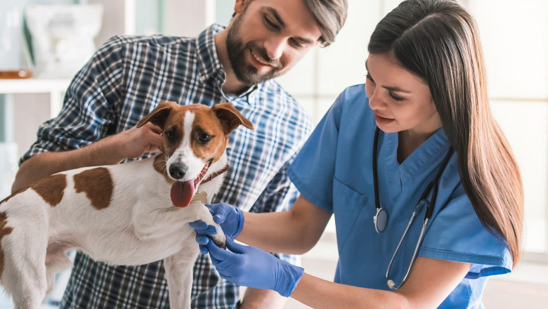 Market Share, Size, Growth, Opportunities, and Forecast 2022-2028 - Veterinary Equipment and Disposables Market