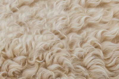 Pure Wool Market – Forecast (2021-2026)
