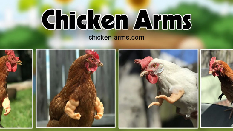Chicken Arms, Chicken Dinosaur Arms, Chicken T-Rex Arms