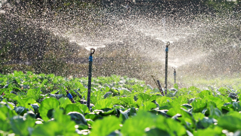 Drip Irrigation Market To 2027, Future Outlook, COVID-19 Impact Analysis, Forecast 2021-2027