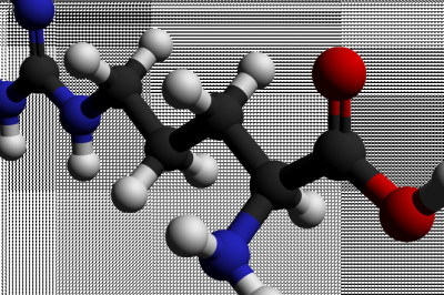 Global Arginine Market Drivers