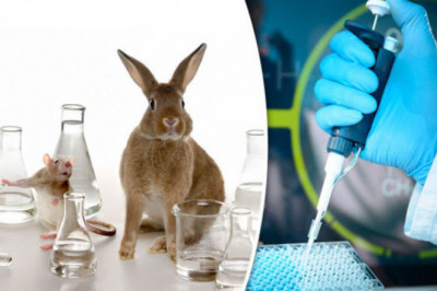 The Impact Of Animal Genetics On Agriculture And Animal Welfare Is Expected To Be Dramatic