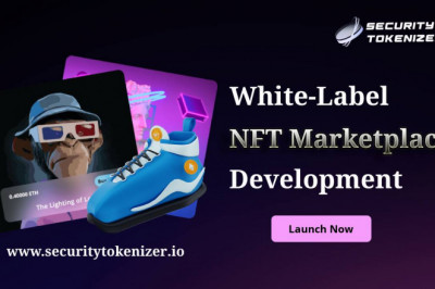 White Label NFT Marketplace Development Company - SecurityTokenizer