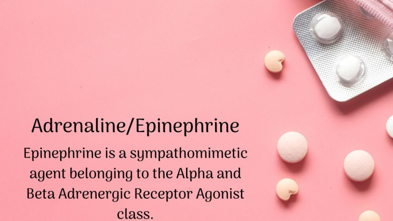 Adrenaline/Epinephrine