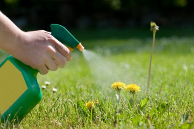 Agrochemicals Market Along with an In-depth Analysis of the Competitive Landscape 2022-2028