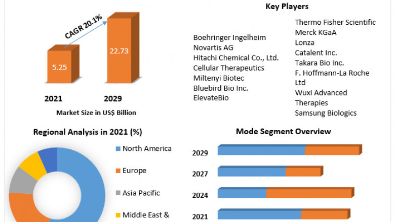 Cell and Gene Therapy Manufacturing Market Size ,share , Analysis, Trends, Outlook, Growth and Forecast 2029