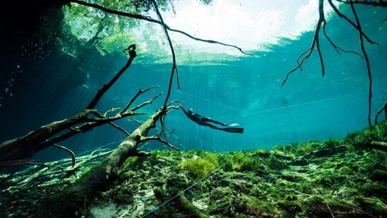Cenote Freediving | Lacasasurya.com