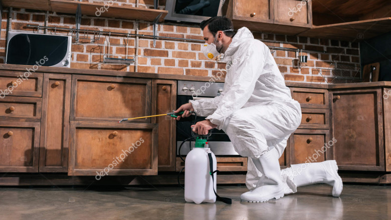 How to Control Pests in Your Home 2022