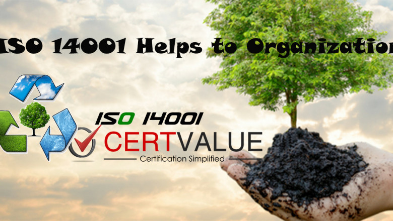ISO 14001 certification process in Egypt
