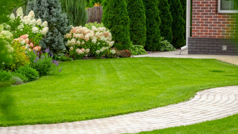 Landscapers Near Me in Melbourne | GardenMore Landscaping