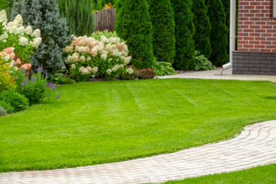 Landscapers Near Me in Melbourne | GardenMore Landscaping