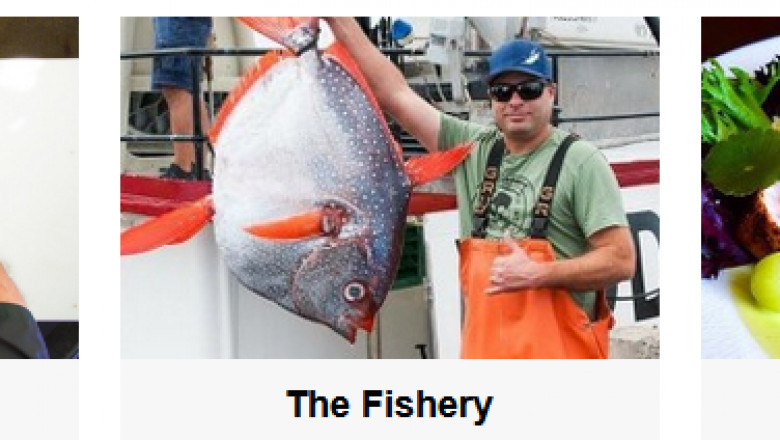 New and the best seafood in San Diego and best seafood products provider