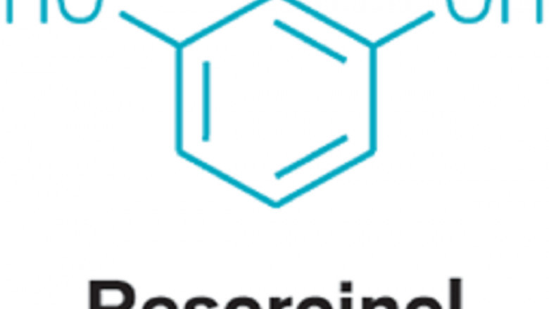 Resorcinol Market 2022 Major Key Players and Industry Analysis Till 2028