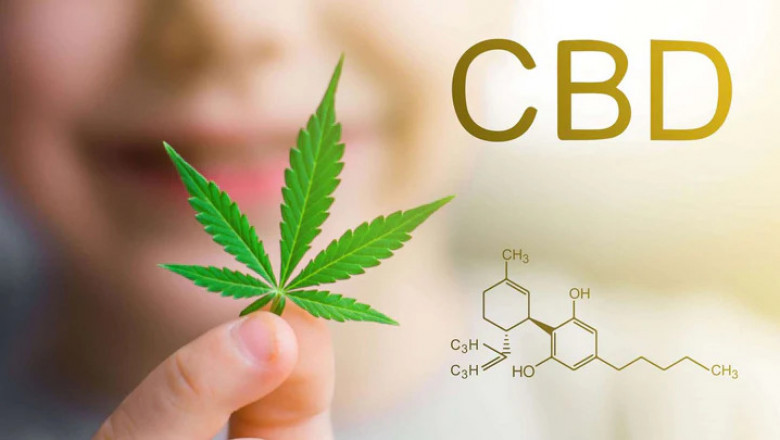 Understanding CBD Tea and Its Properties