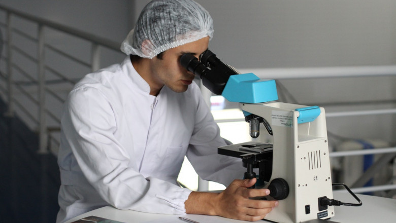 Asbestos Evaluation - How Significant Is It To The Health?
