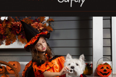 Celebrate Halloween Safely With Your Pets