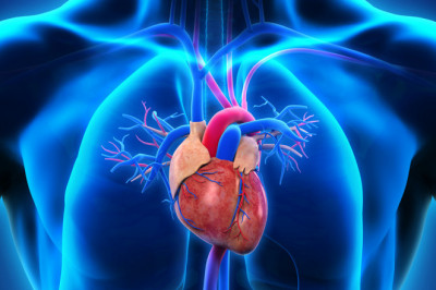 Electrophysiology Market Demand Analysis, Statistics, Industry Trends And Investment Opportunities To 2028