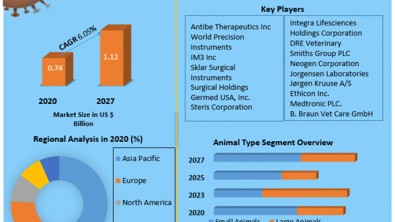 Global Veterinary Surgical Instruments Market opportunities, revenue analysis, Trends and Forecast 2029