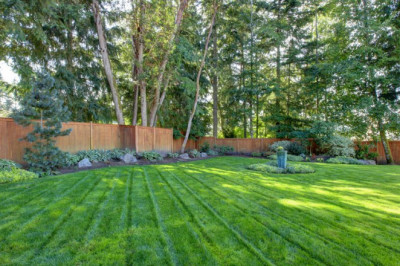 How to Hydroseed Your Lawn in Just a Few Days!