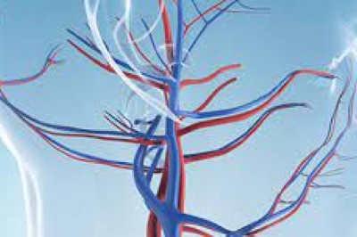 Neurovascular Devices Market 2022 | Industry Demand, Fastest Growth, Opportunities Analysis and Forecast To 2028