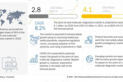 Point of Care Molecular Diagnostics Market - Global Analysis, Size, Share, Growth, Trends, and Forecast 2022 - 2026