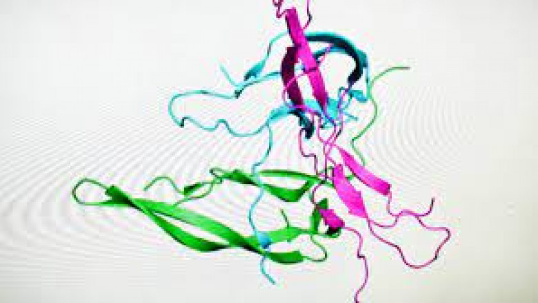 Transport Protein Assays Kits Market Size, Key Players Analysis And Forecast To 2028 | Value Market Research