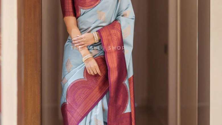 Vani Bhojan’s regal look in a pastel blue silk saree